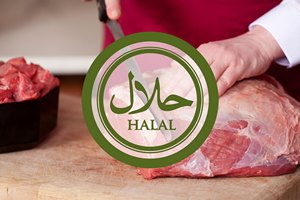 Новый завод в Кабардино-Балкарии будет выпускать 5 тыс. тонн халяльного мяса в год