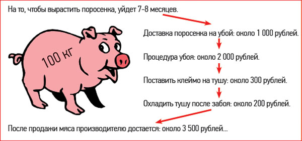 Омские фермеры требуют права забивать скот лично Омские фермеры требуют права забивать скот лично