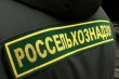 Россельхознадзор проверит мексиканских поставщиков говядины