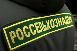 Россельхознадзор проверит мексиканских поставщиков говядины Россельхознадзор проверит мексиканских поставщиков говядины