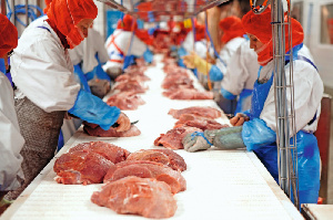 Беларусь: налоговая инспекция банкротит мясокомбинат «Старфуд» Беларусь: налоговая инспекция банкротит мясокомбинат «Старфуд»