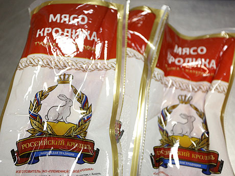 Марат Чибишев, "Российский кроликъ": Наша страна очень плотно сидит на генетической игле Европы Марат Чибишев, "Российский кроликъ": Наша страна очень плотно сидит на генетической игле Европы