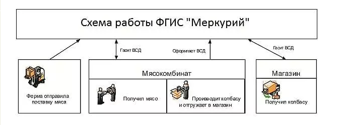 С 1 июля продажа мяса и мясных продуктов будет производиться по новым правилам 
