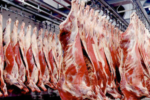 Мясо-Портал: 20 главных тем и событий 2013 года в мясном бизнесе