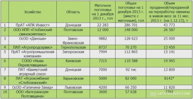 Как скажется на украинских свиноводах запрет экспорта мяса в Россию?