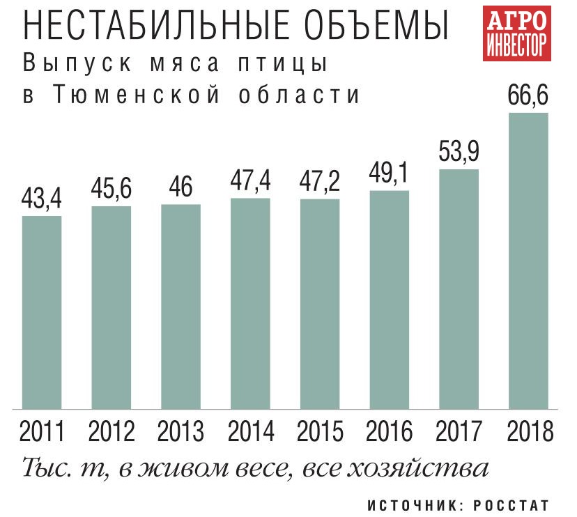 «Руском» потеснит птицеводов Урала. Крупнейший в Сибири производитель индейки планирует построить бройлерную фабрику за 7,2 млрд рублей