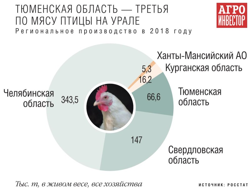 «Руском» потеснит птицеводов Урала. Крупнейший в Сибири производитель индейки планирует построить бройлерную фабрику за 7,2 млрд рублей