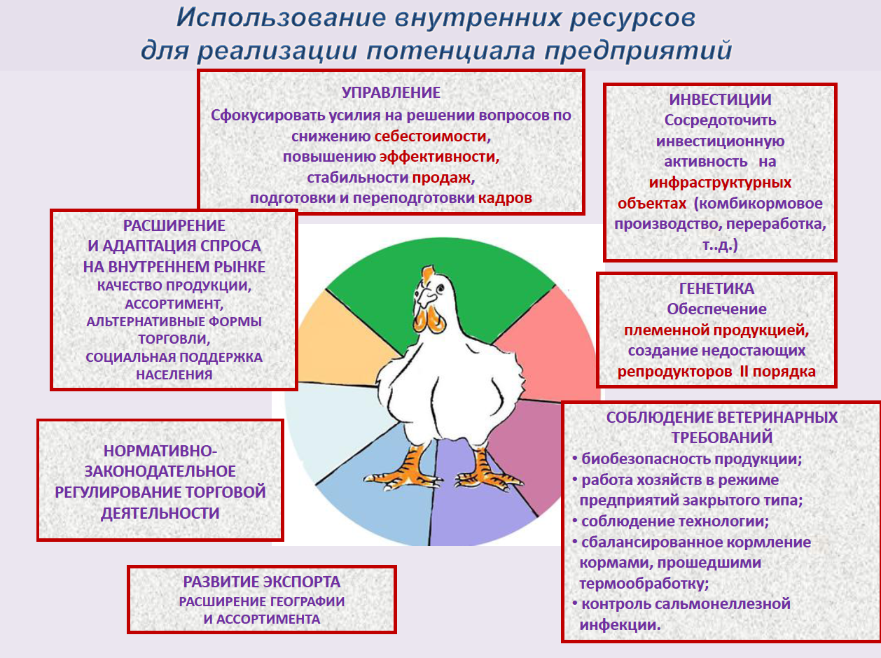 Материалы конференции Russian Meat&Feed Industry 2019. Доклад заместителя гендиректора Российского птицеводческого союза Елены Степановой «Мировые и российские тренды развития птицеводства: реалии и вызовы будущего»