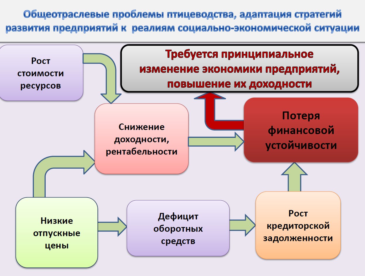 Материалы конференции Russian Meat&Feed Industry 2019. Доклад заместителя гендиректора Российского птицеводческого союза Елены Степановой «Мировые и российские тренды развития птицеводства: реалии и вызовы будущего»